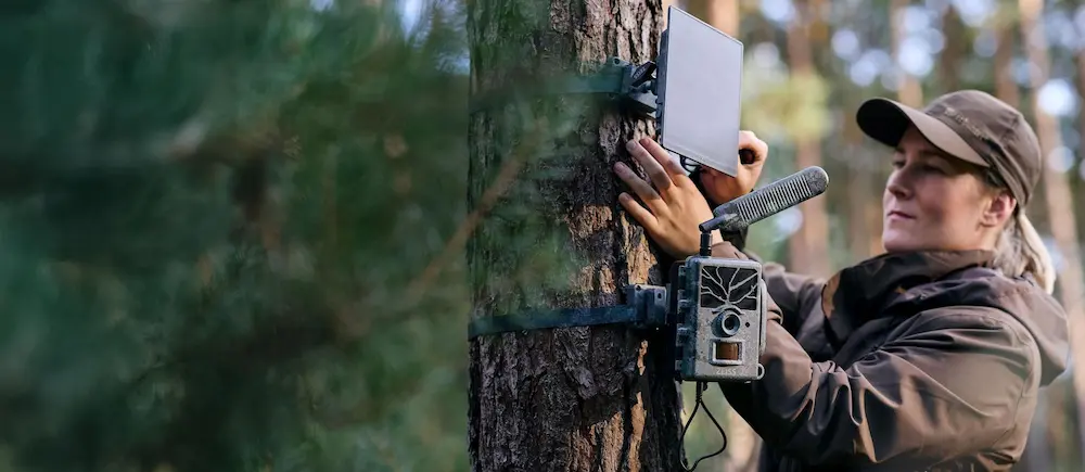 Fotopułapka Zeiss Secacam 1